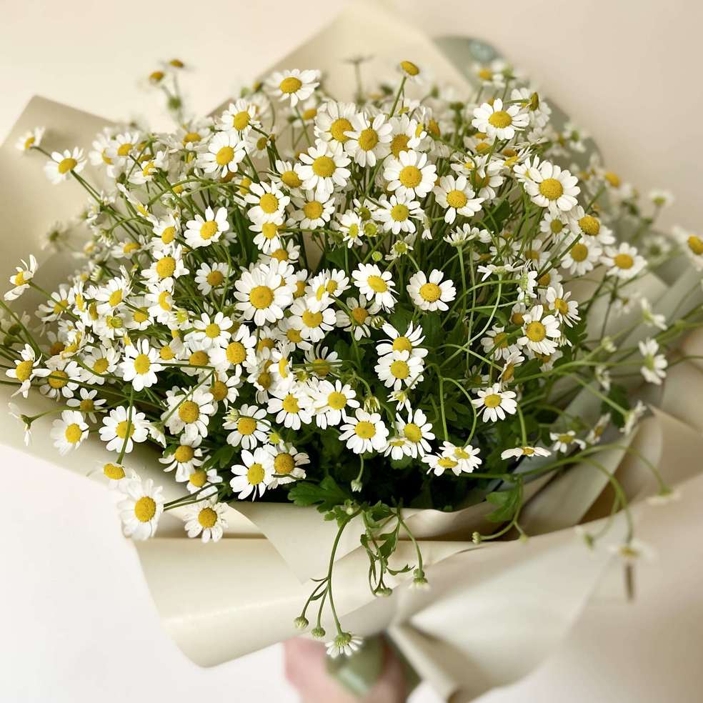 Букет из полевых ромашек - Доставка цветов Саратов. Сервис Delivery Flowers